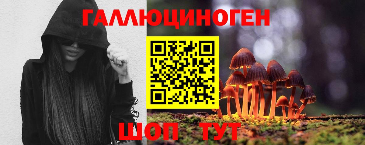 Галлюциногенные грибы GOLDEN TEACHER Гурьевск